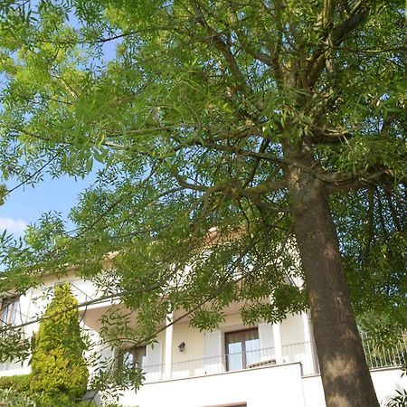 Villa Patrizia Moncalvo Exteriér fotografie