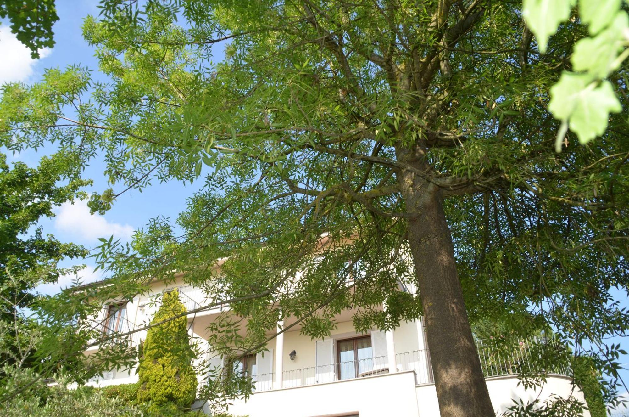 Villa Patrizia Moncalvo Exteriér fotografie